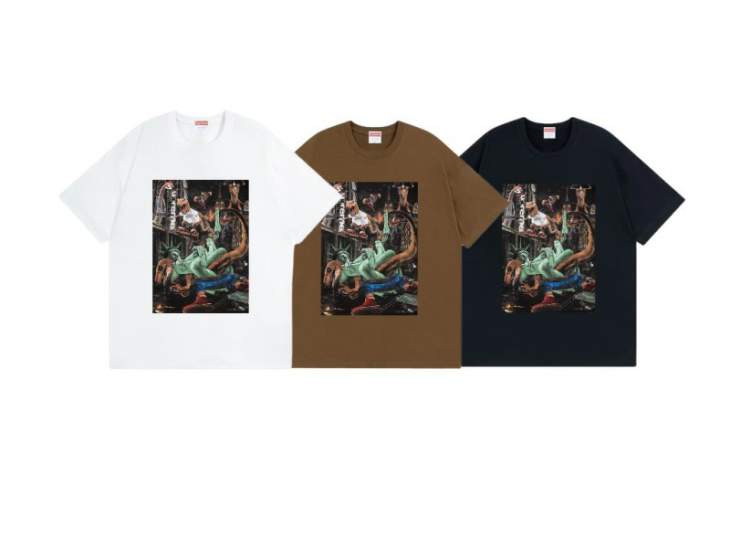 Picture of Supreme T Shirts Short _SKUSupremeS-2XLthtxS1251537